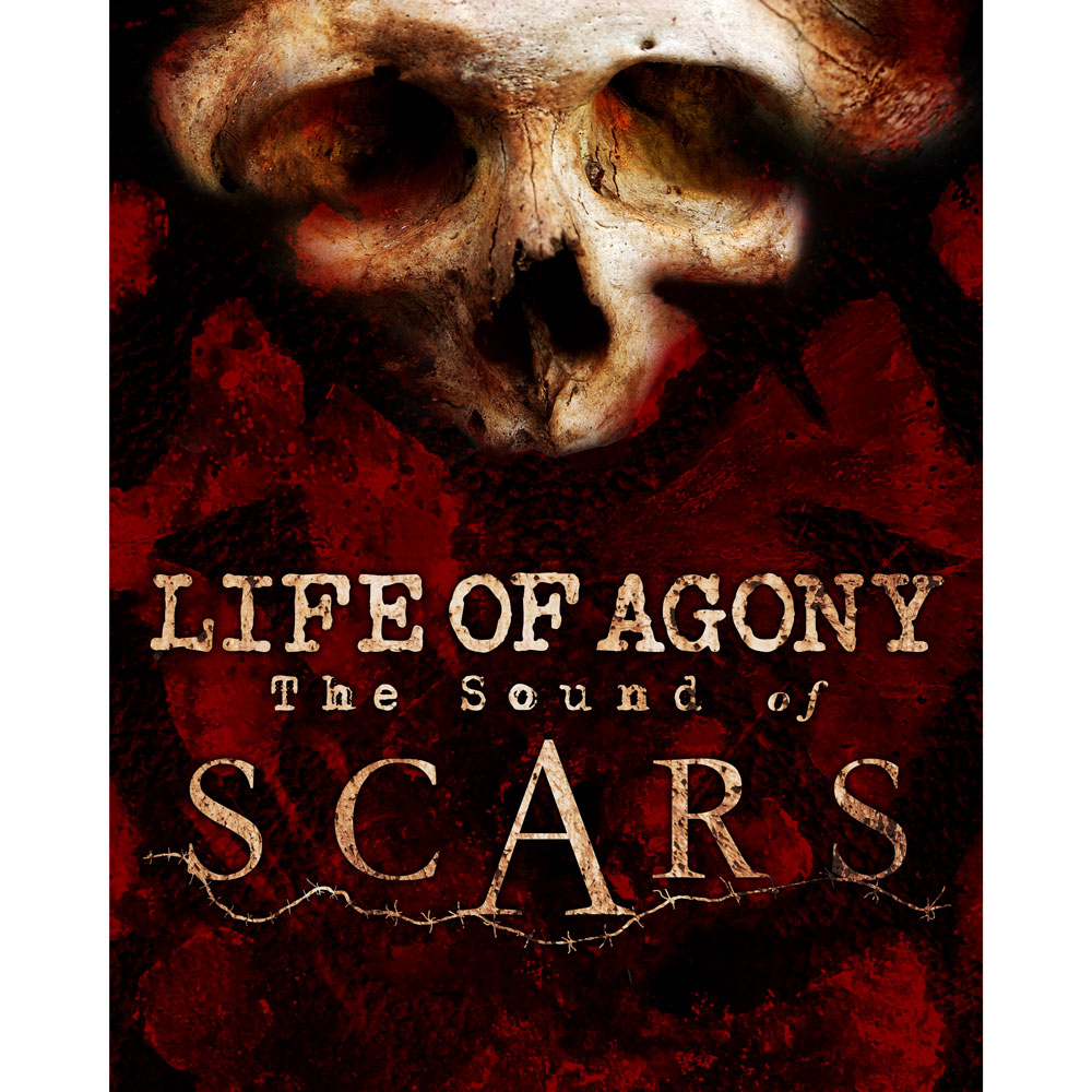 The Sound of Scars Puzzle