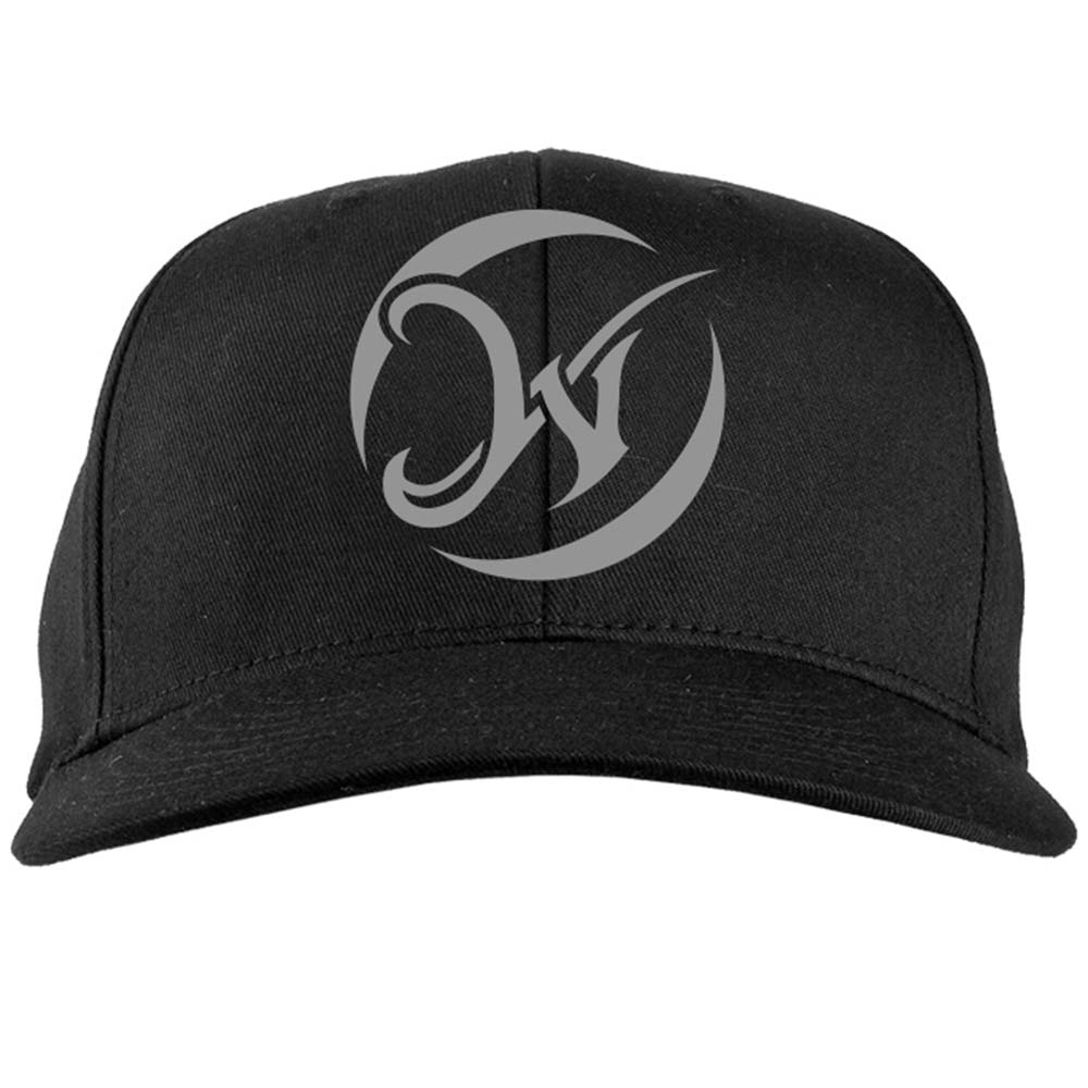 Logo Silver - Flexfit Hat